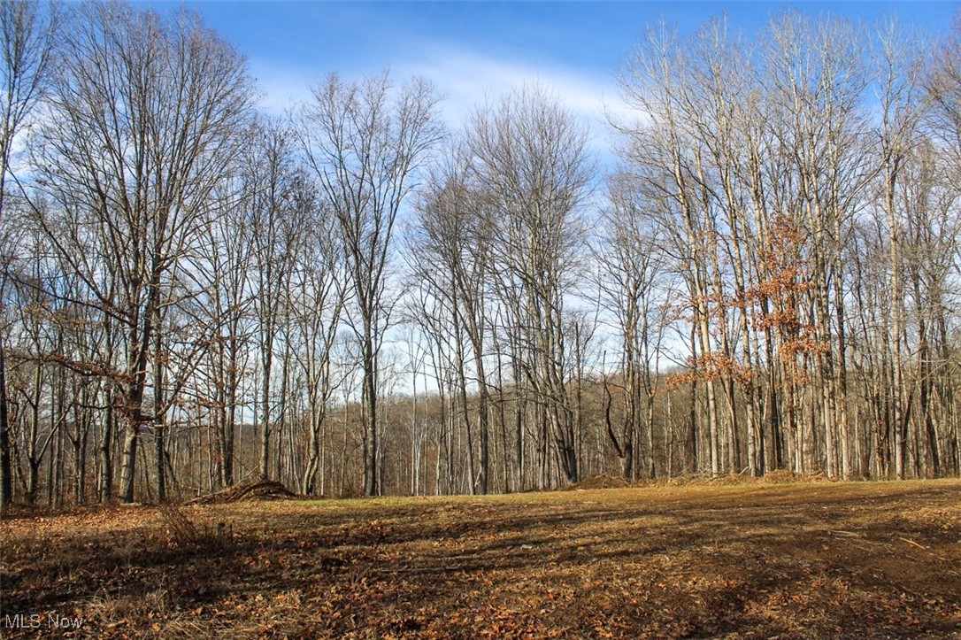 Tract 4 State Route 155 Se Property Photo 13
