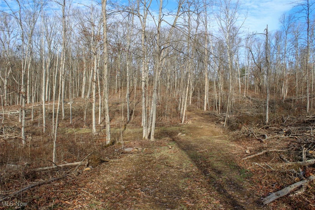 Tract 4 State Route 155 Se Property Photo 14