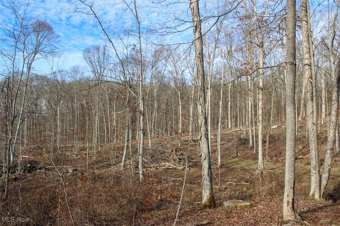 Tract 4 State Route 155 Se Property Photo 15