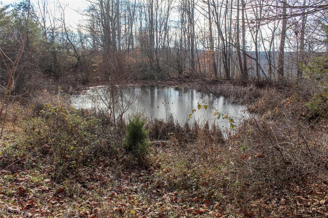 Tract 4 State Route 155 Se Property Photo 17