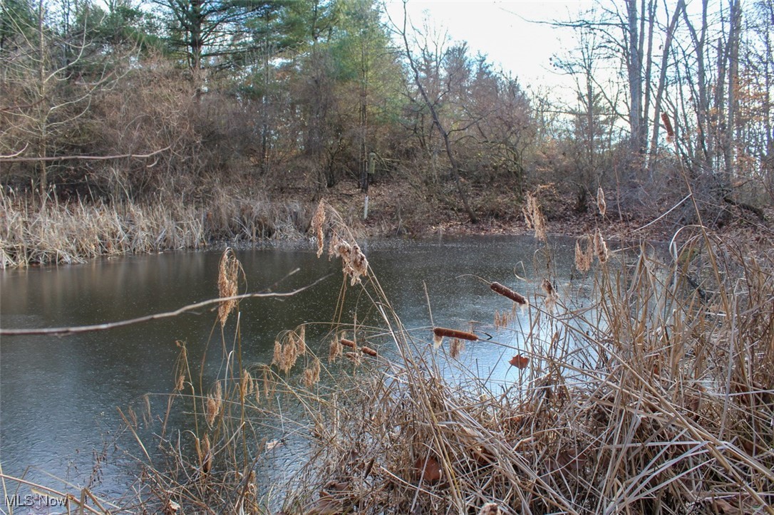 Tract 4 State Route 155 Se Property Photo 18