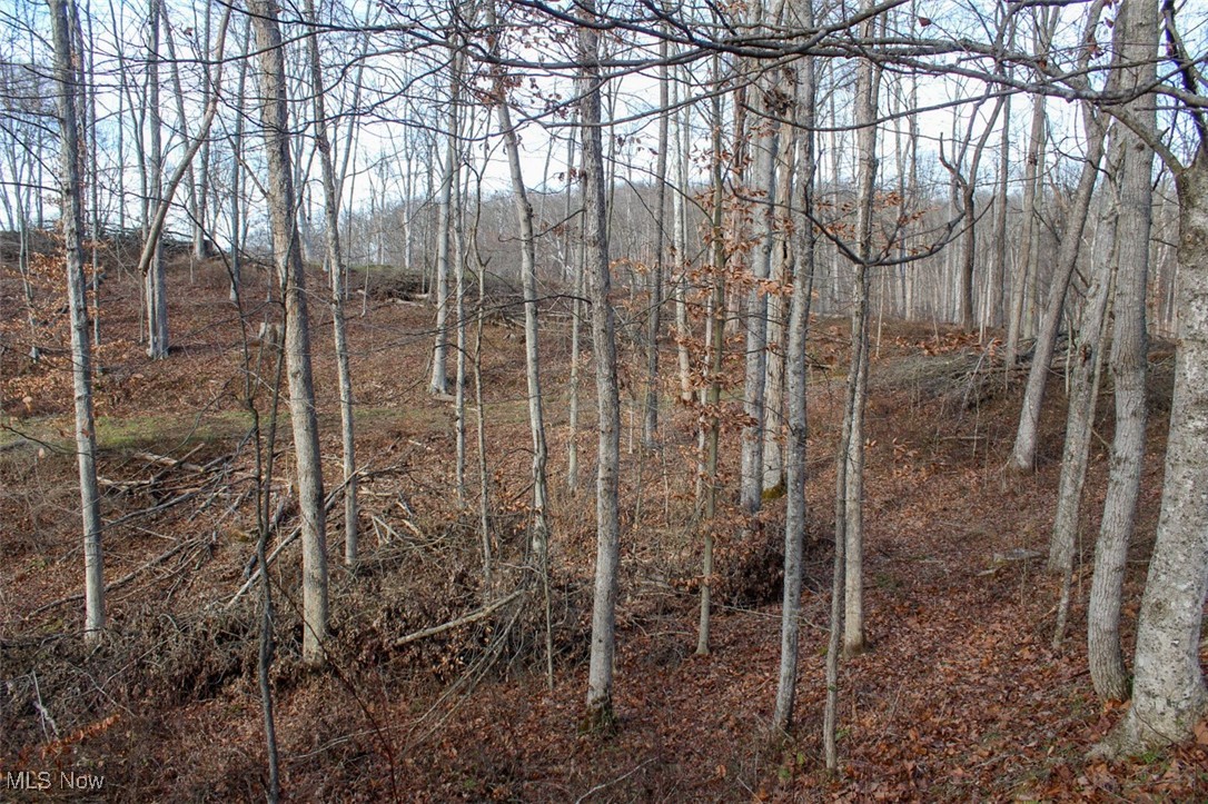 Tract 4 State Route 155 Se Property Photo 19