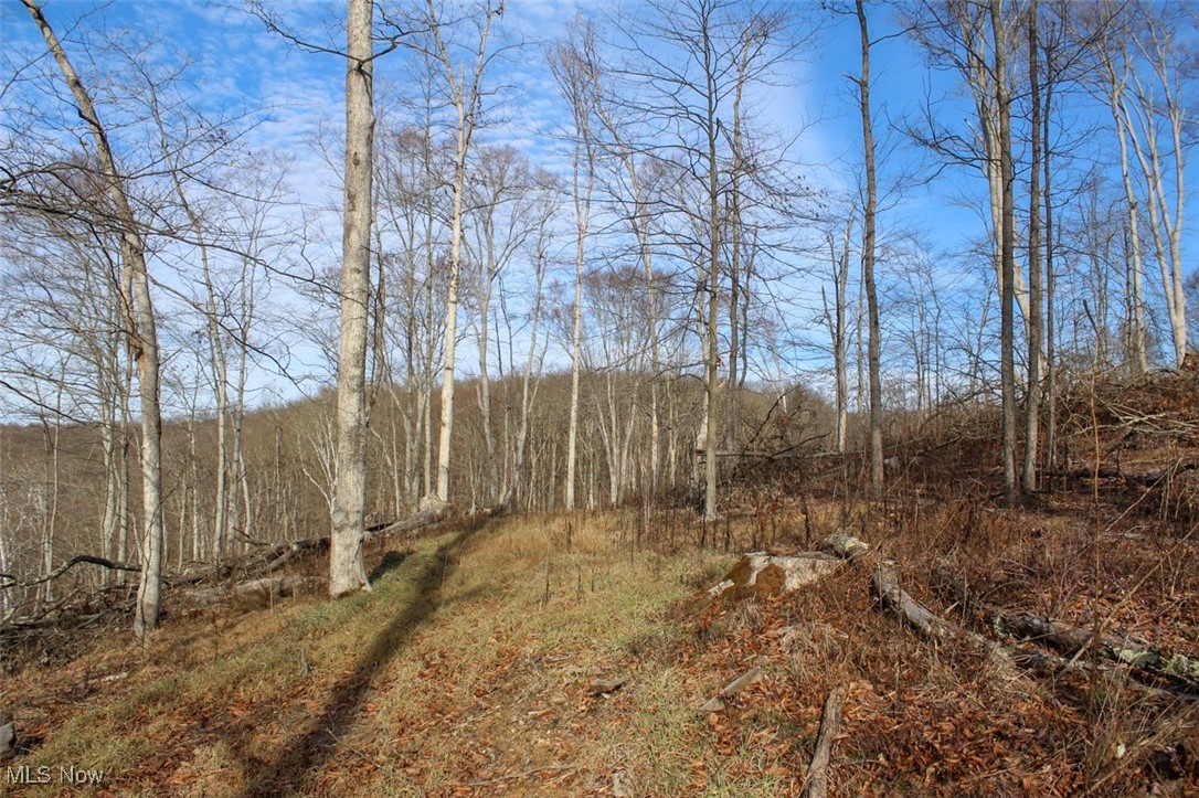 Tract 4 State Route 155 Se Property Photo 22