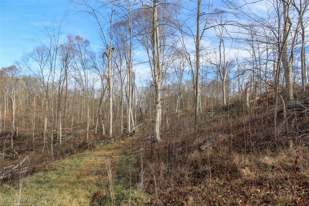 Tract 4 State Route 155 Se Property Photo 23