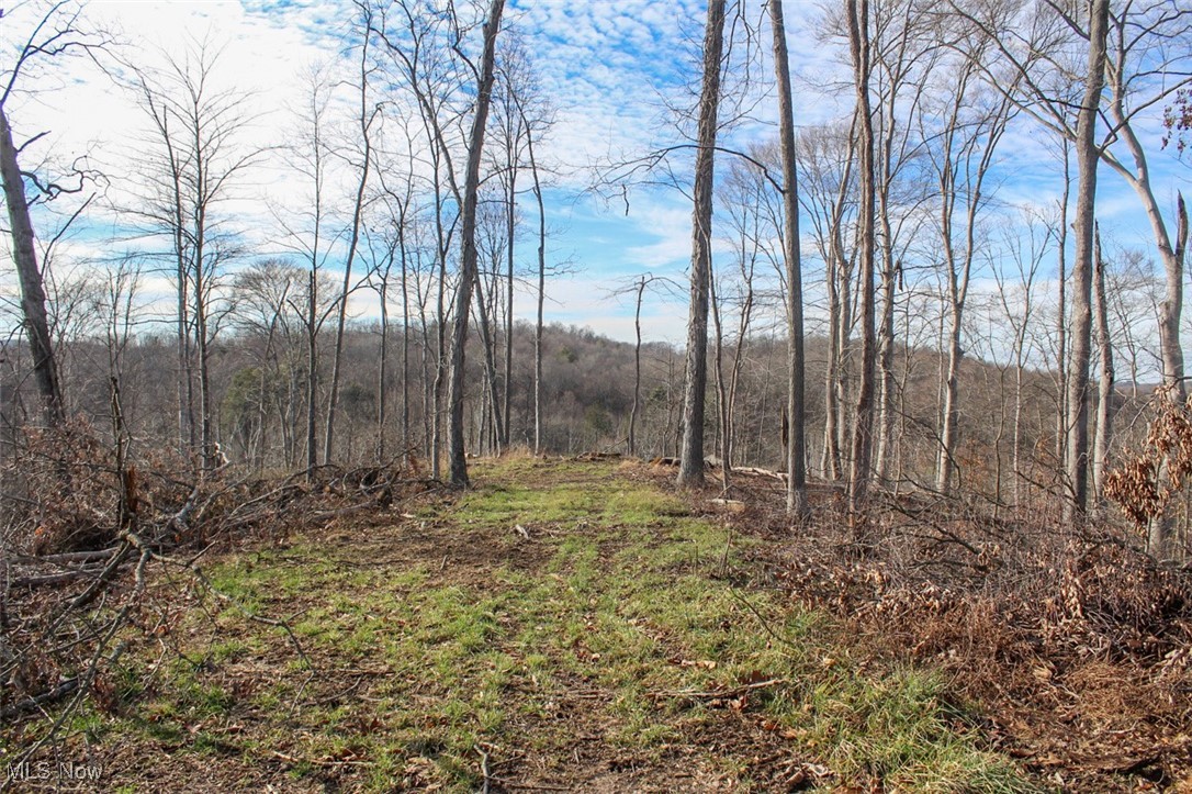 Tract 4 State Route 155 Se Property Photo 24