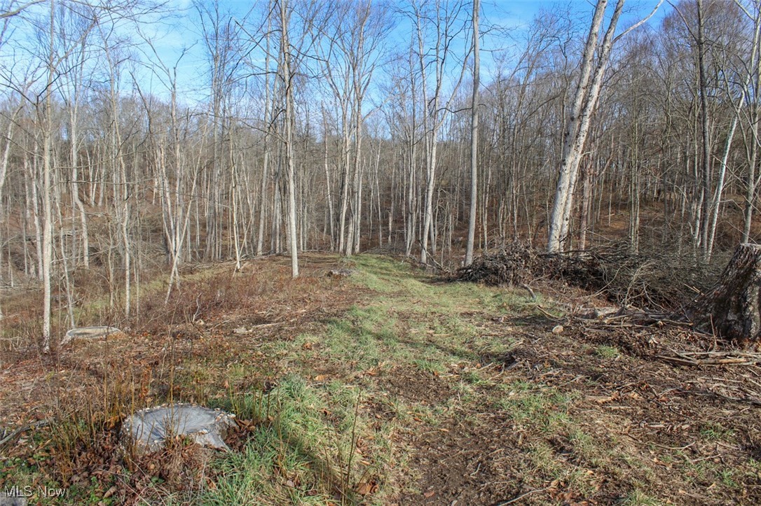 Tract 4 State Route 155 Se Property Photo 25
