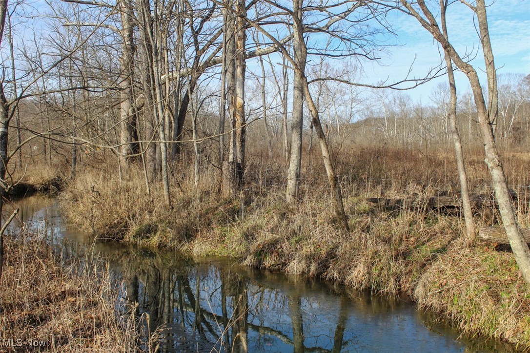 Tract 4 State Route 155 Se Property Photo 26
