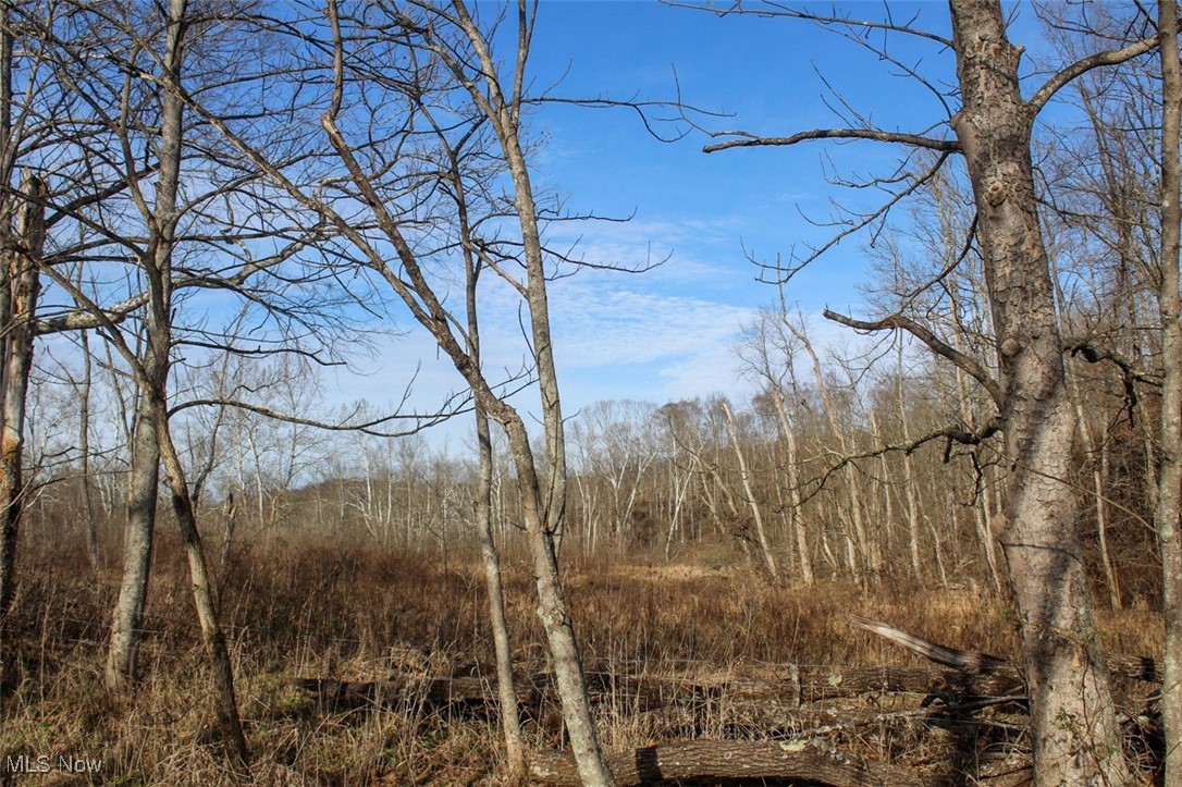 Tract 4 State Route 155 Se Property Photo 27