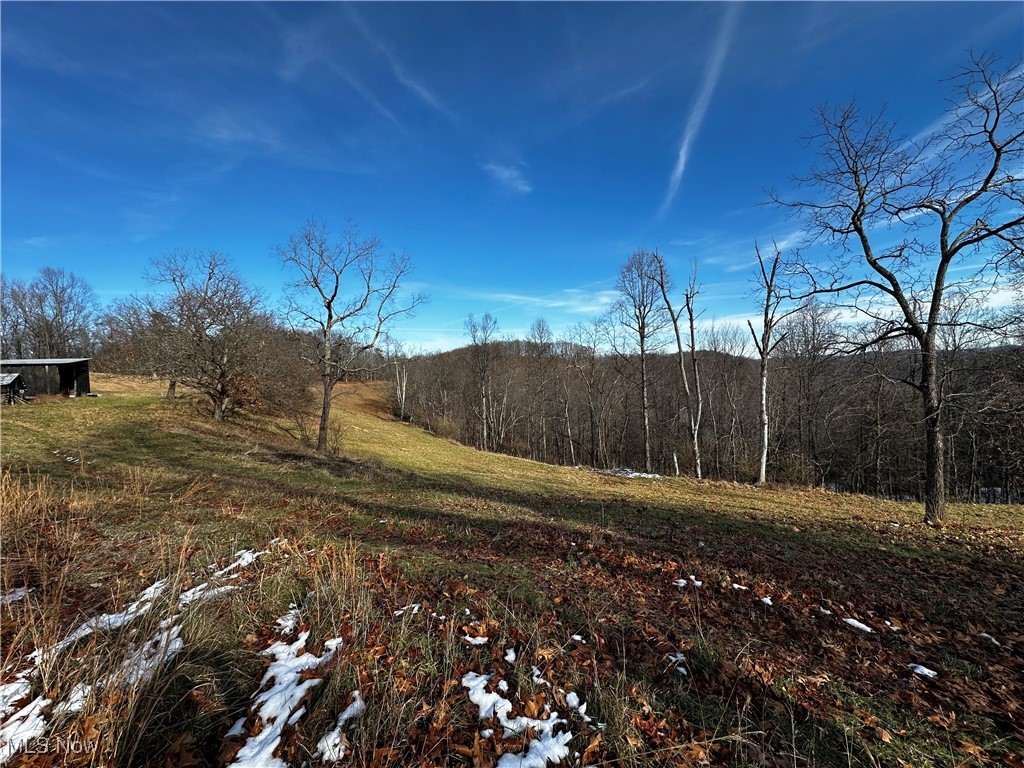 825 Cranenest Road Property Photo 7