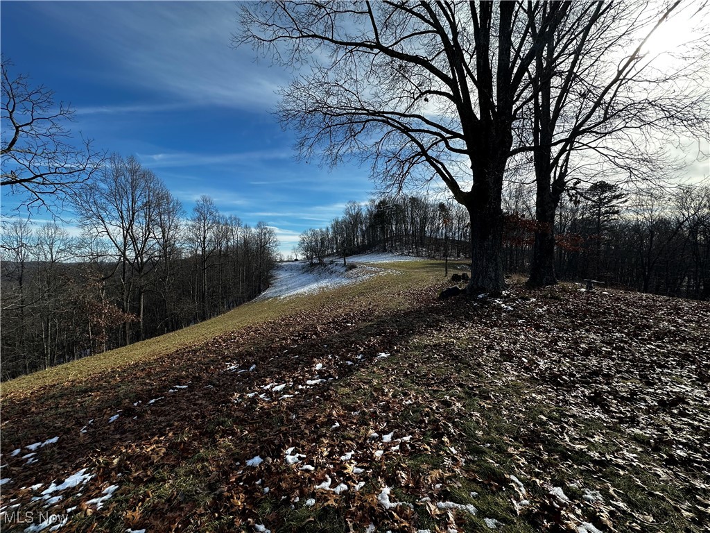 825 Cranenest Road Property Photo 8