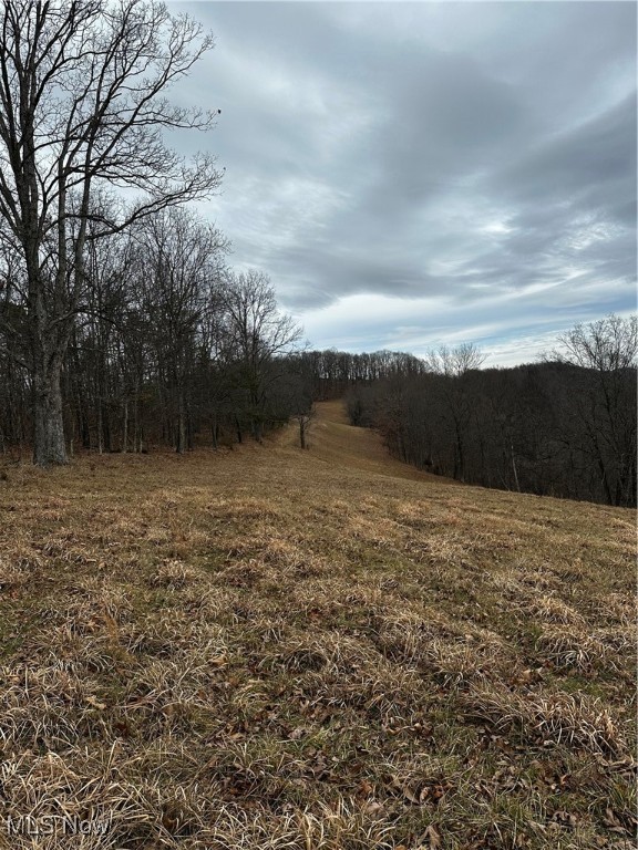 825 Cranenest Road Property Photo 10