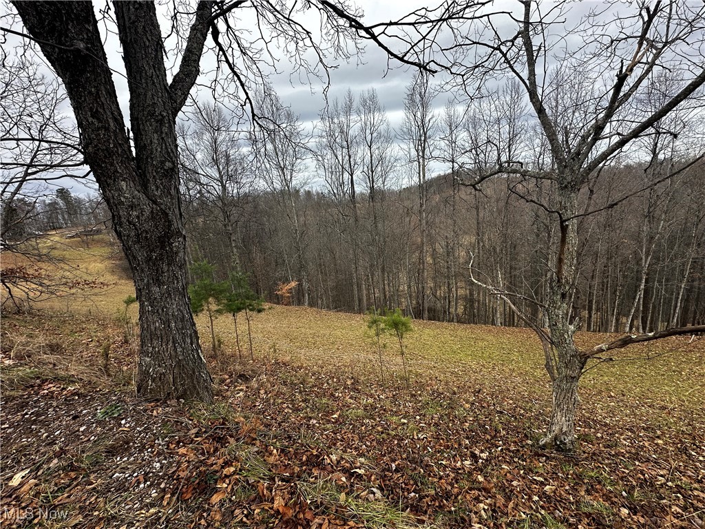 825 Cranenest Road Property Photo 11