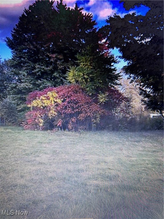 8129 South Avenue Property Photo 1
