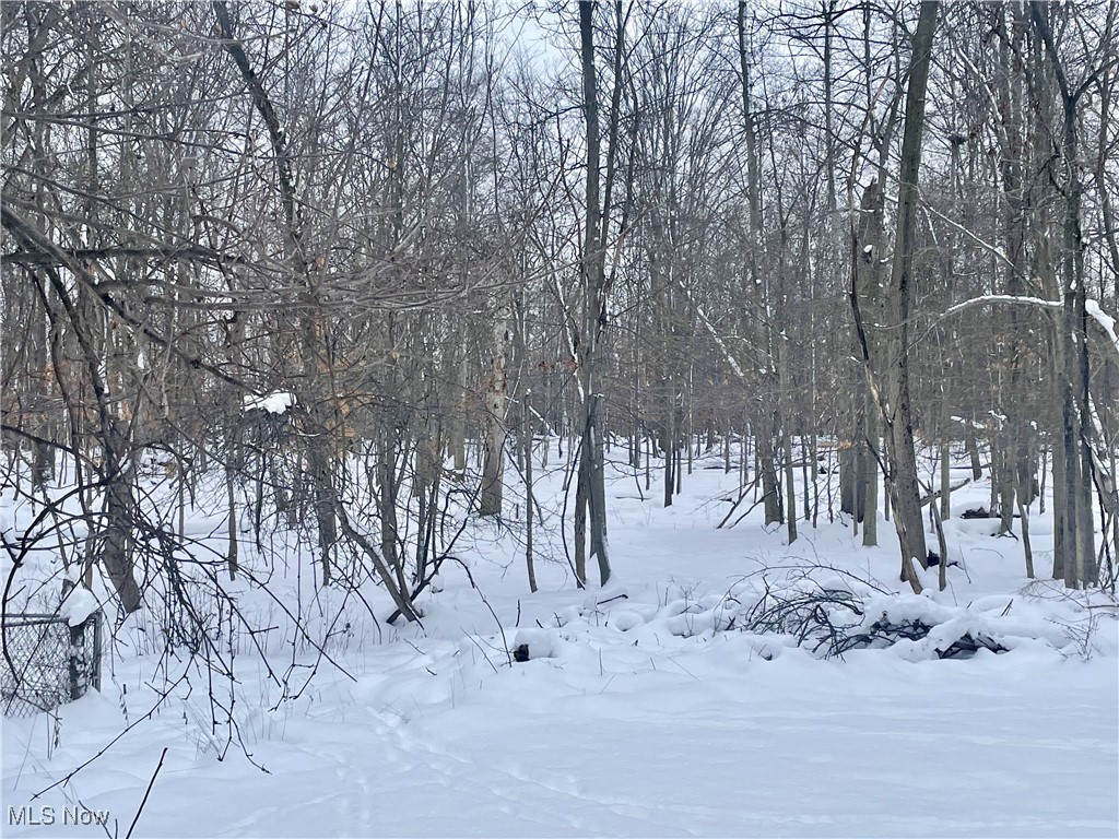 7791 Hoertz Road Property Photo 28