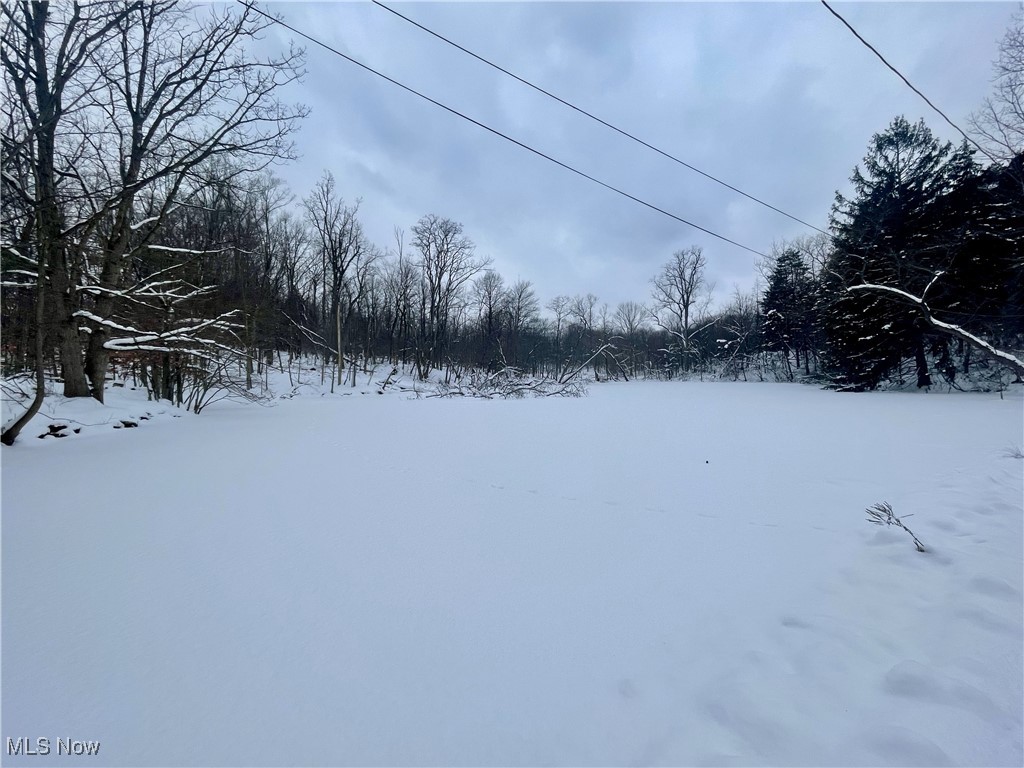 7791 Hoertz Road Property Photo 34