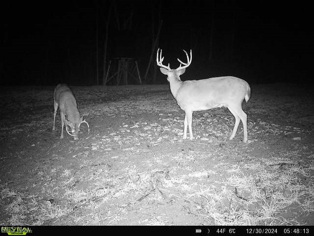 Wagner Property Photo 3