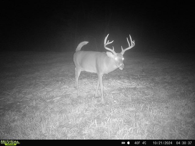 Wagner Property Photo 5