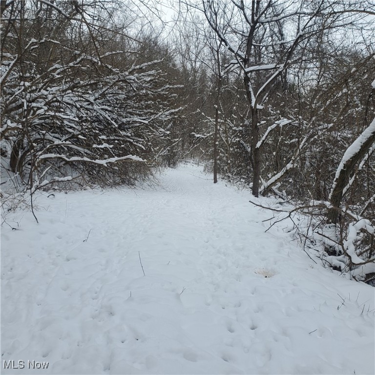 Wagner Property Photo 6