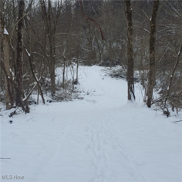 Wagner Property Photo 8