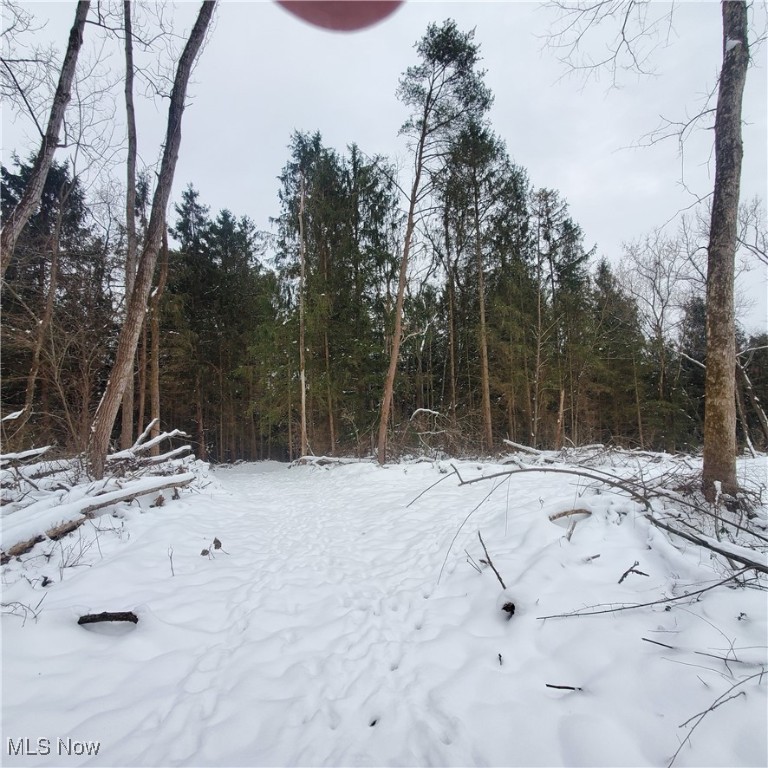 Wagner Property Photo 10