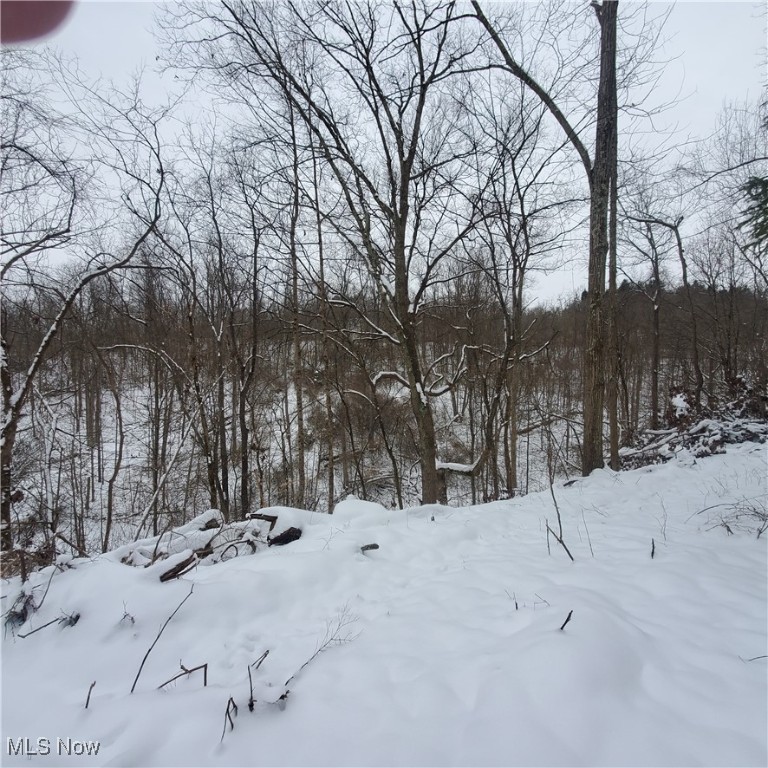 Wagner Property Photo 12