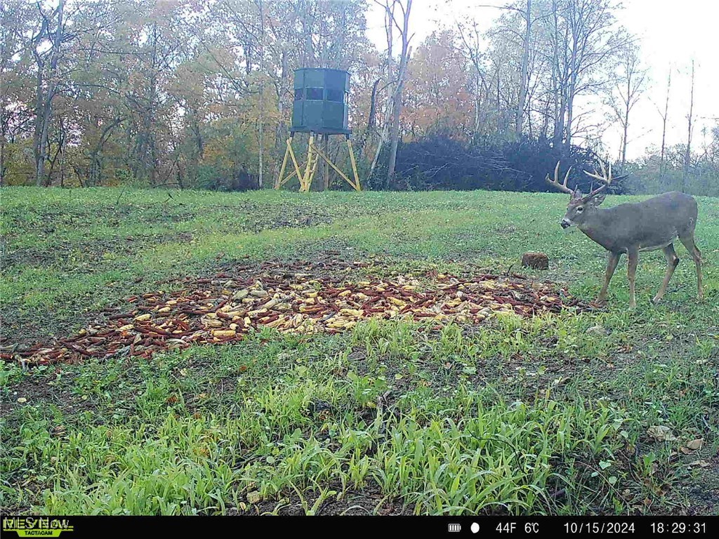 Wagner Property Photo 17