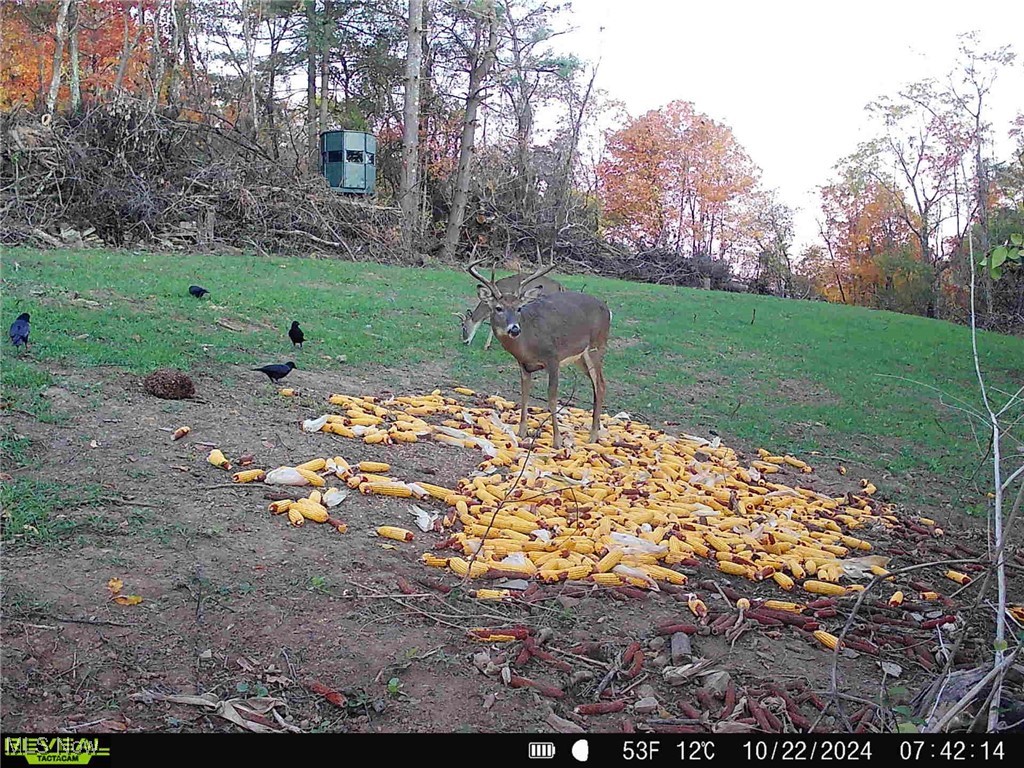 Wagner Property Photo 18