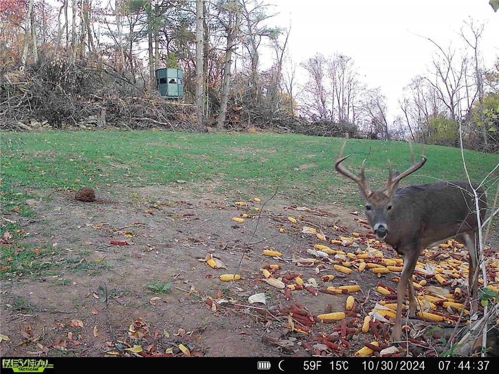 Wagner Property Photo 19