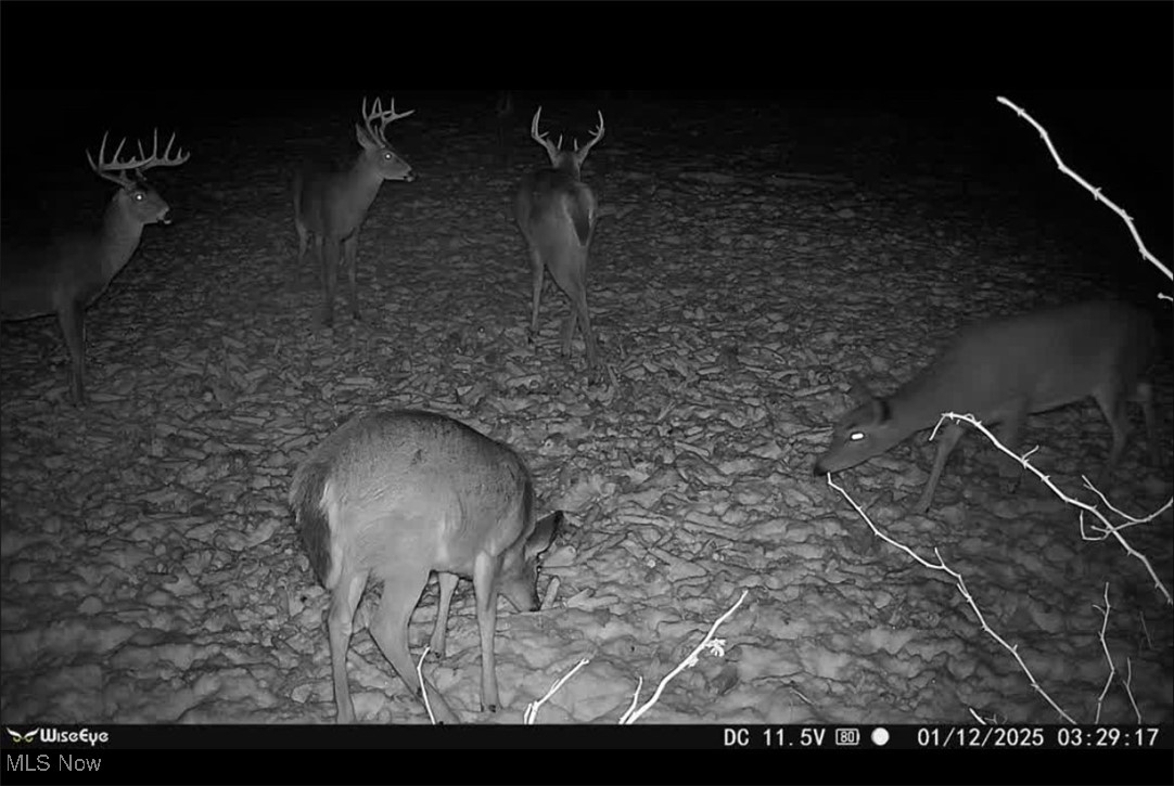 Pugh Ridge Property Photo 3