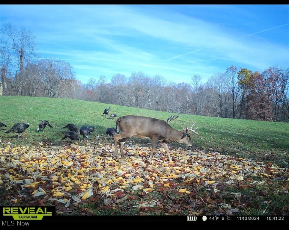 Pugh Ridge Property Photo 4
