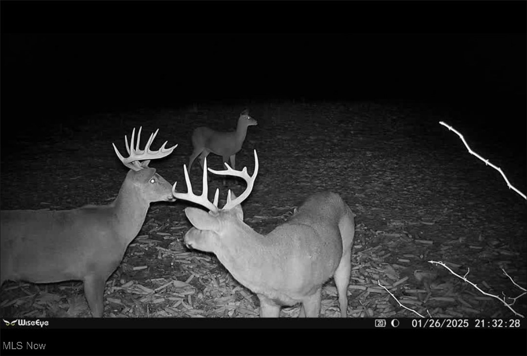 Pugh Ridge Property Photo 5