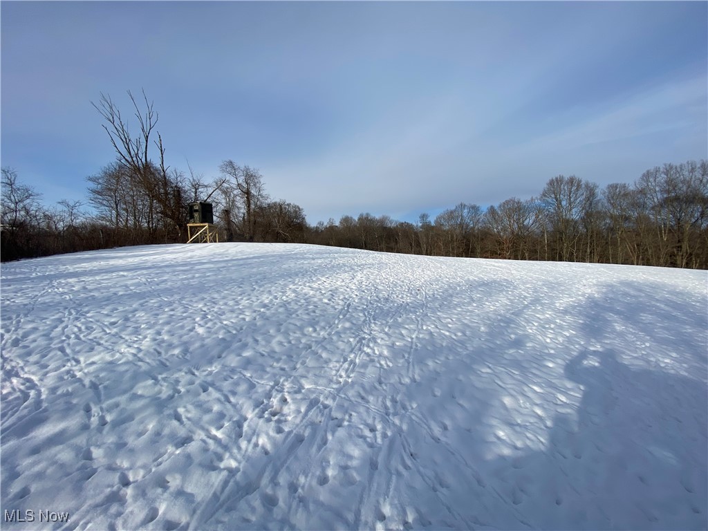 Pugh Ridge Property Photo 7