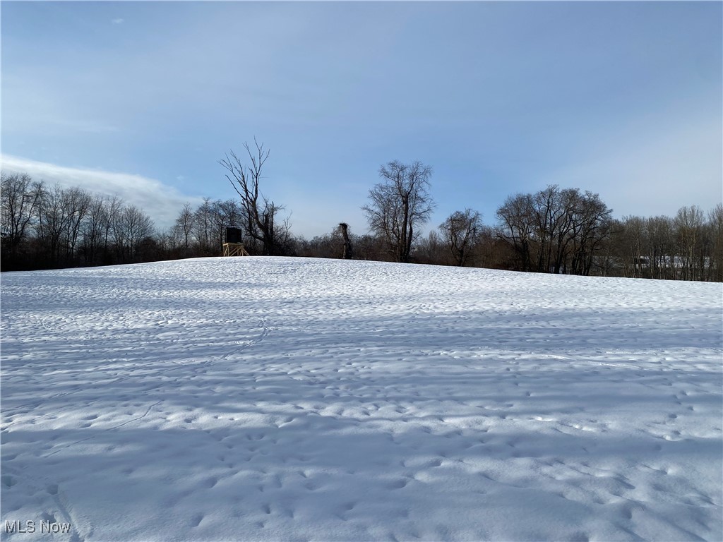 Pugh Ridge Property Photo 8