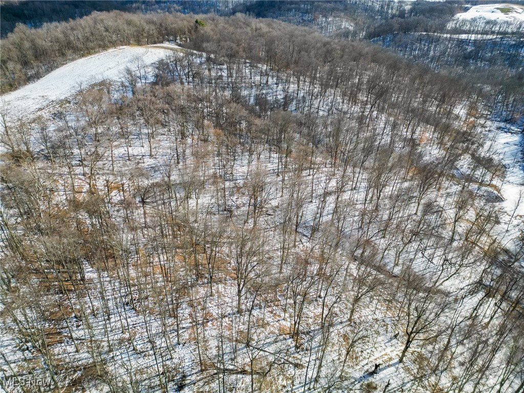 Pugh Ridge Property Photo 9
