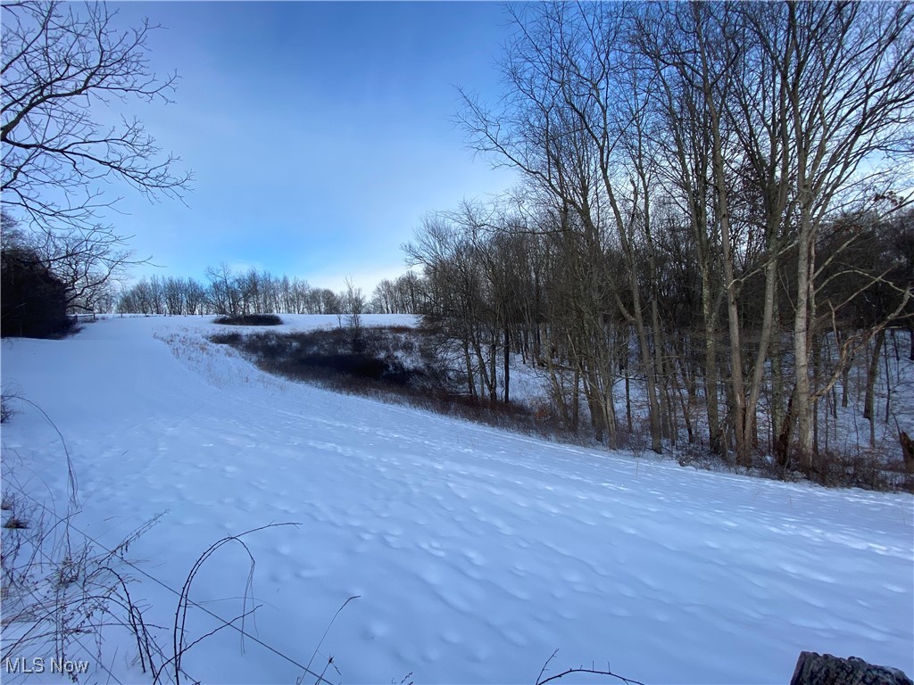 Pugh Ridge Property Photo 10