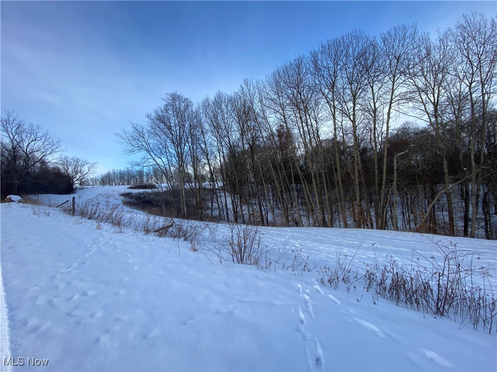 Pugh Ridge Property Photo 11