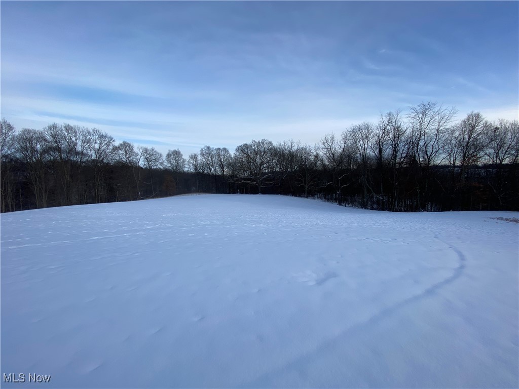 Pugh Ridge Property Photo 12