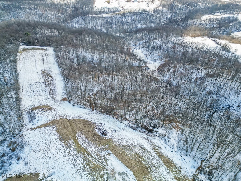 Pugh Ridge Property Photo 14