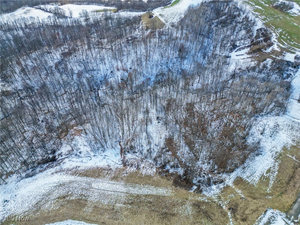 Pugh Ridge Property Photo 15
