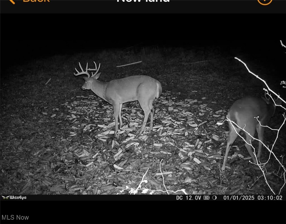 Pugh Ridge Property Photo 17