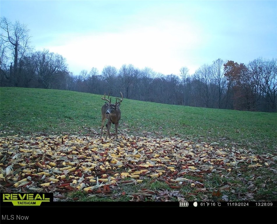 Pugh Ridge Property Photo 18