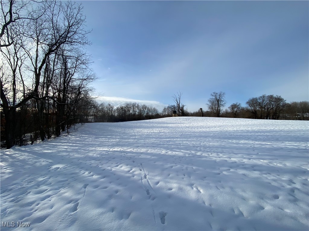 Pugh Ridge Property Photo 19