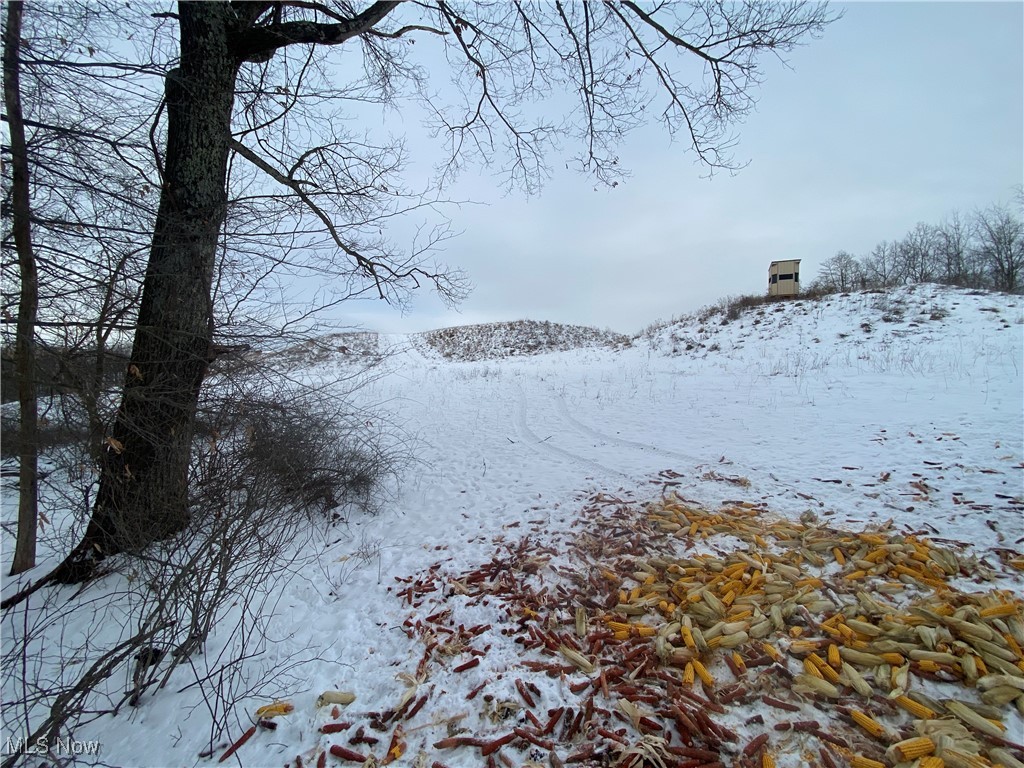 Pugh Ridge Property Photo 20