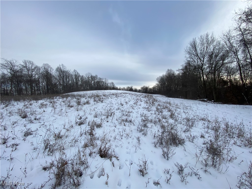 Pugh Ridge Property Photo 21