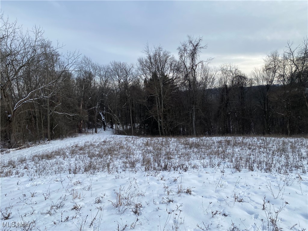 Pugh Ridge Property Photo 22