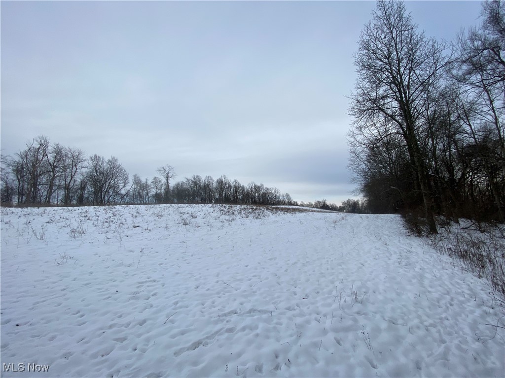 Pugh Ridge Property Photo 23