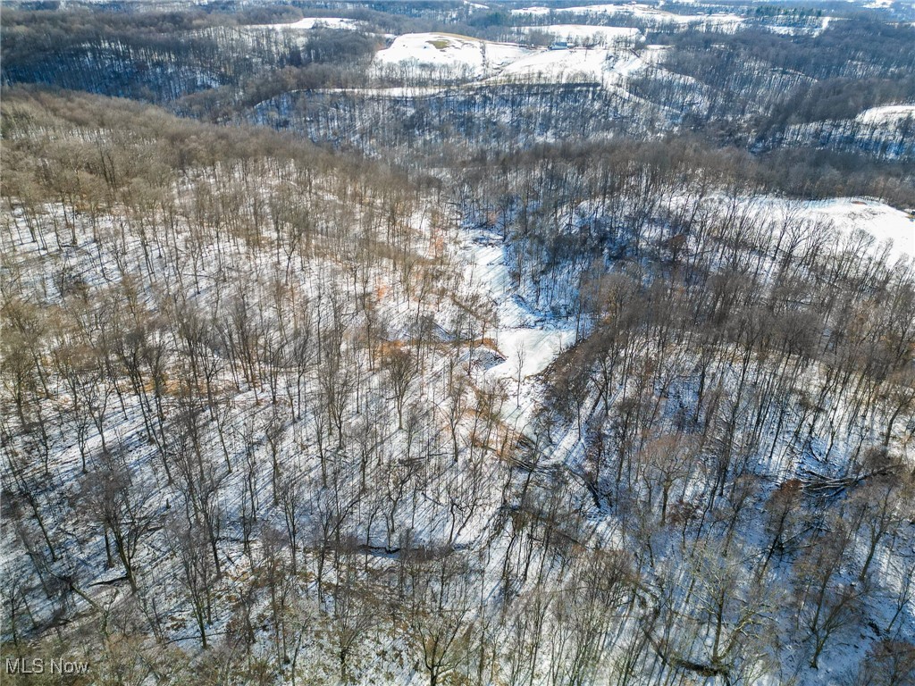 Pugh Ridge Property Photo 24