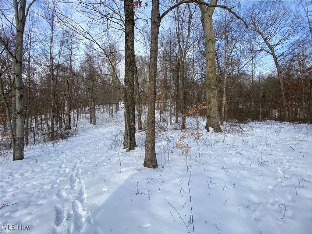 Pugh Ridge Property Photo 25