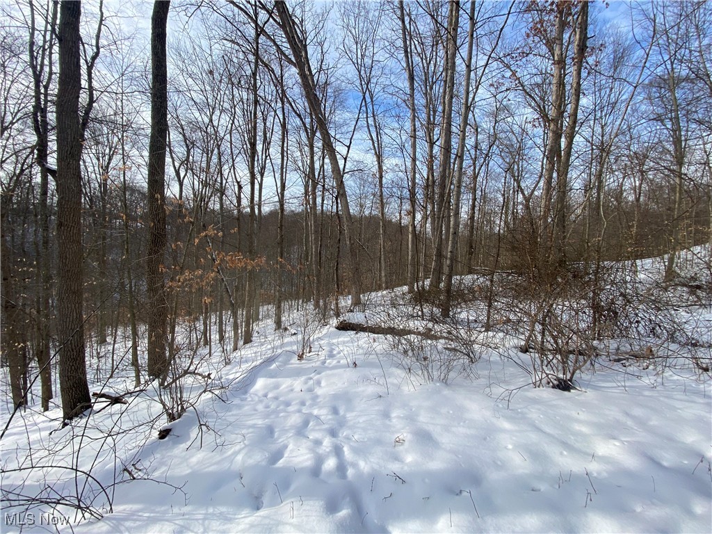 Pugh Ridge Property Photo 26