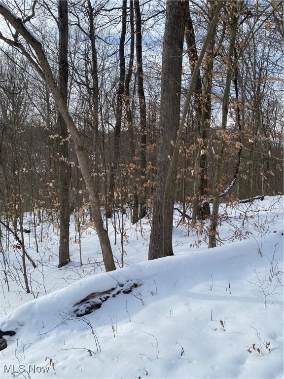 Pugh Ridge Property Photo 27